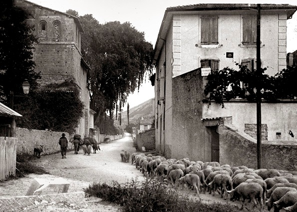 Transhumance Marcoux