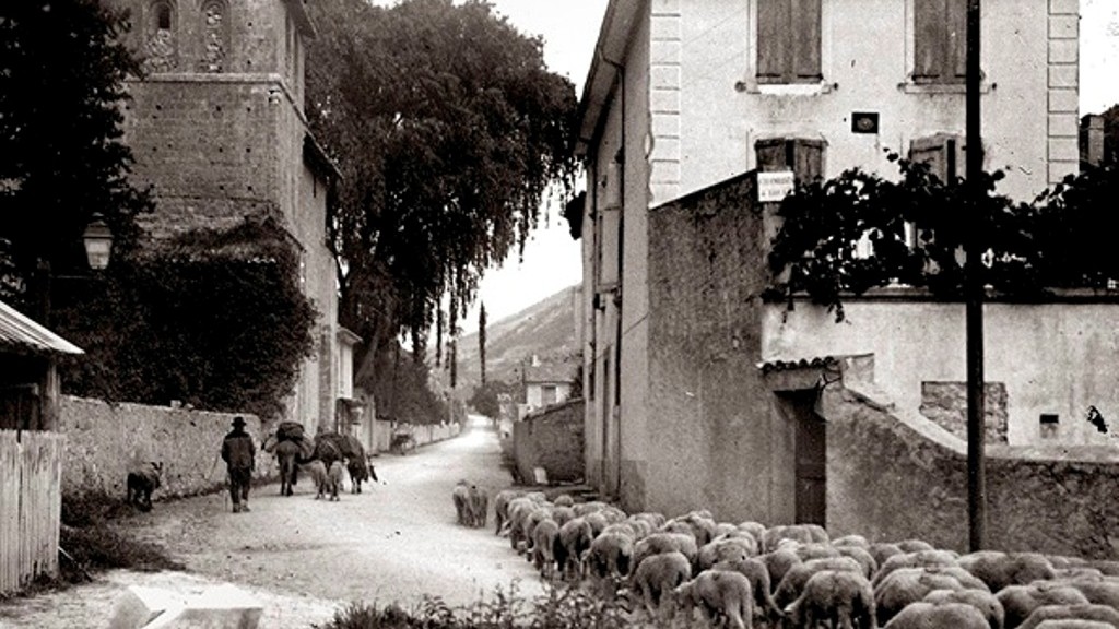 Transhumance Marcoux - Copie